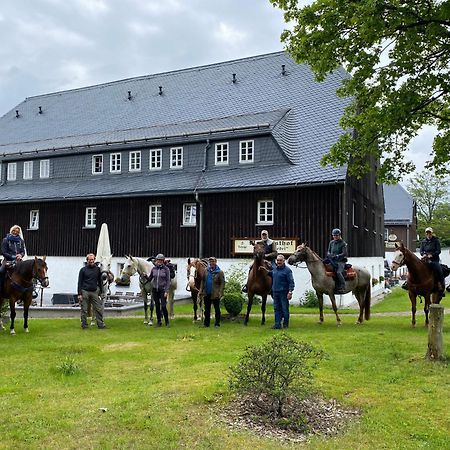 Waldgasthof Bad Einsiedel Seiffen Buitenkant foto
