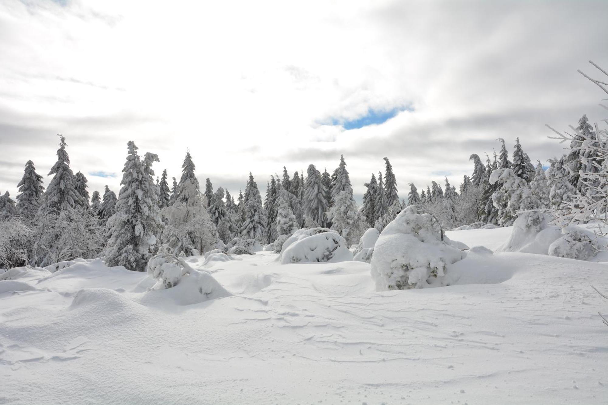 Waldgasthof Bad Einsiedel Seiffen Buitenkant foto