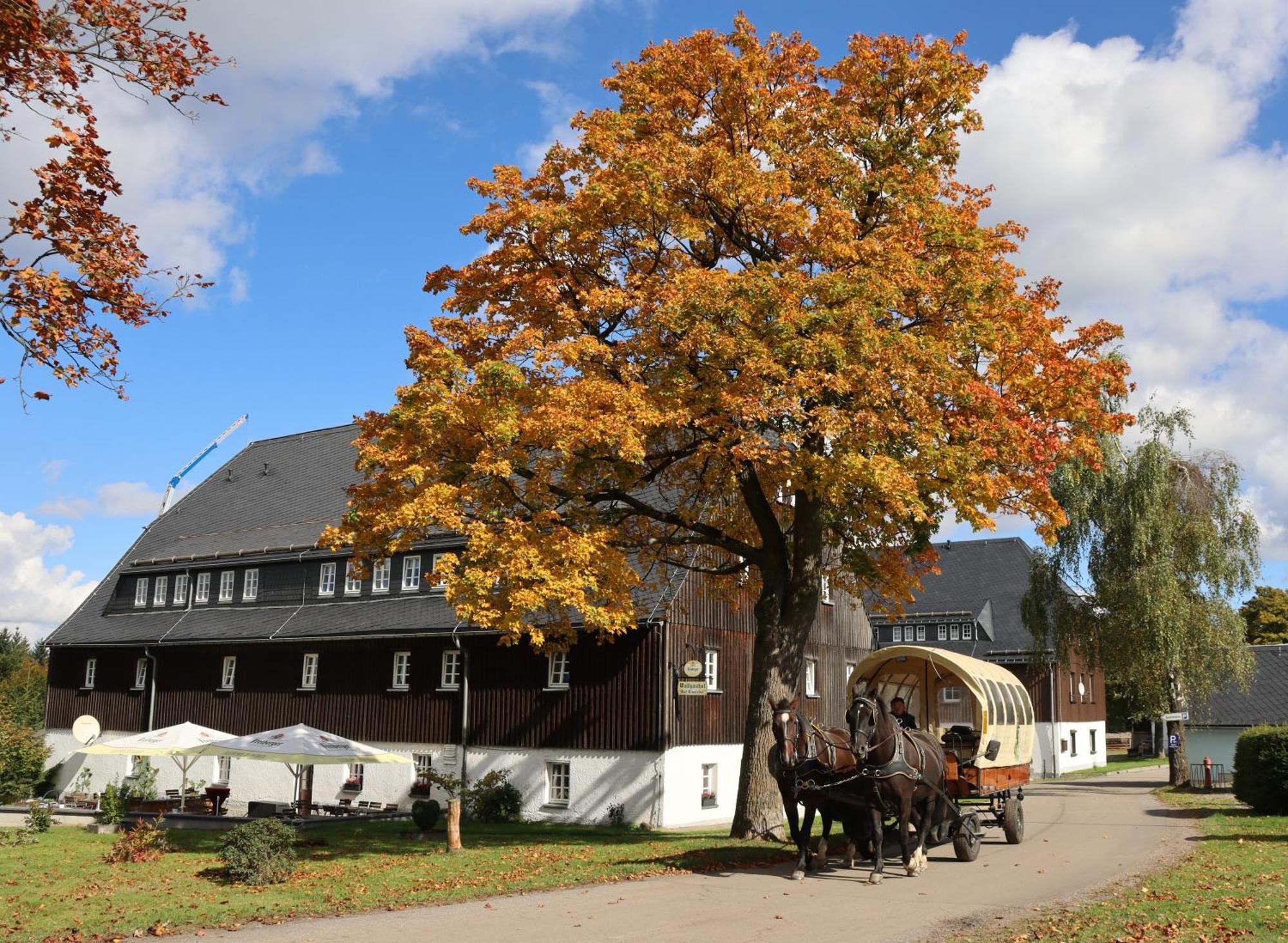 Waldgasthof Bad Einsiedel Seiffen Buitenkant foto