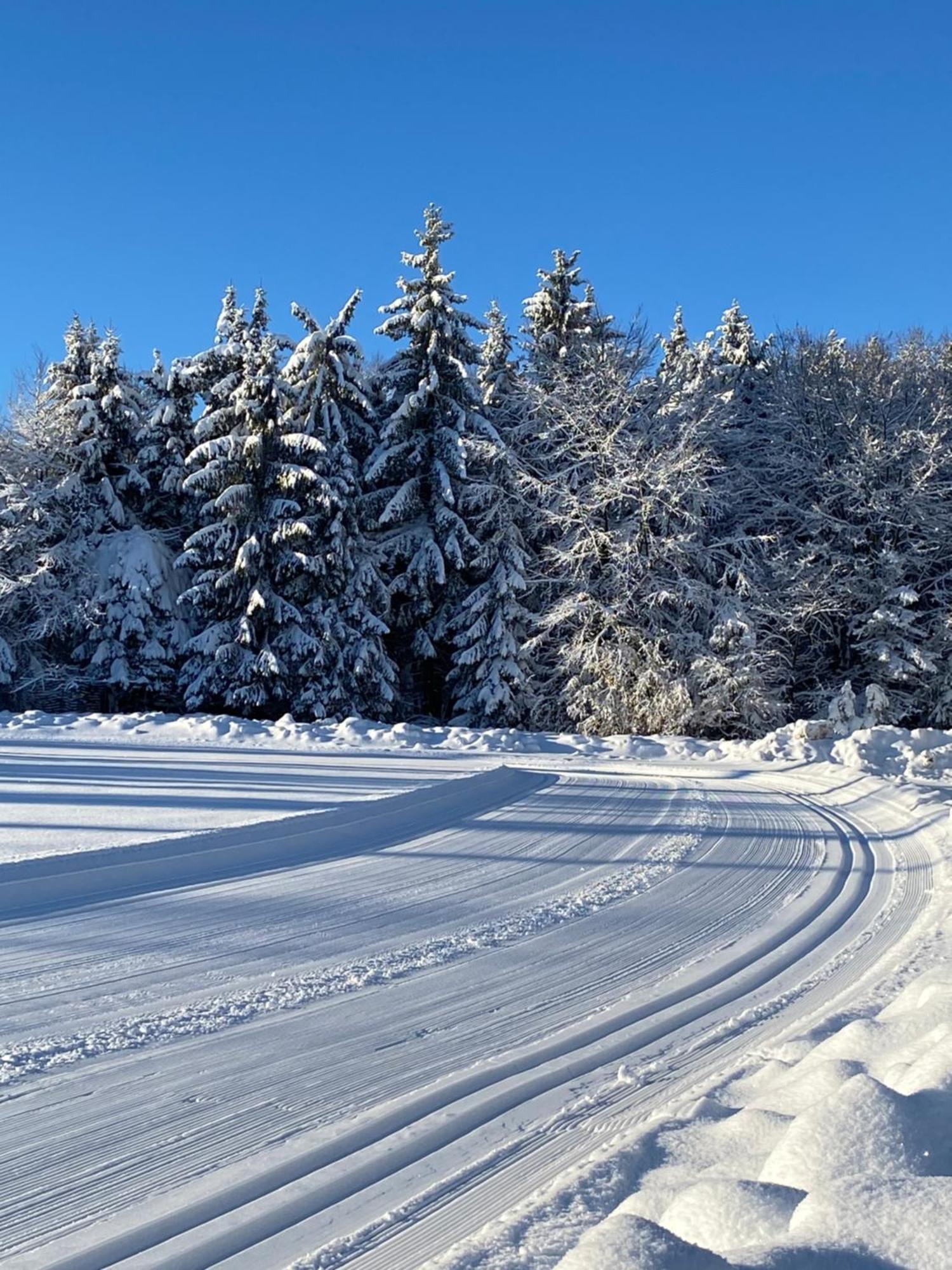 Waldgasthof Bad Einsiedel Seiffen Buitenkant foto