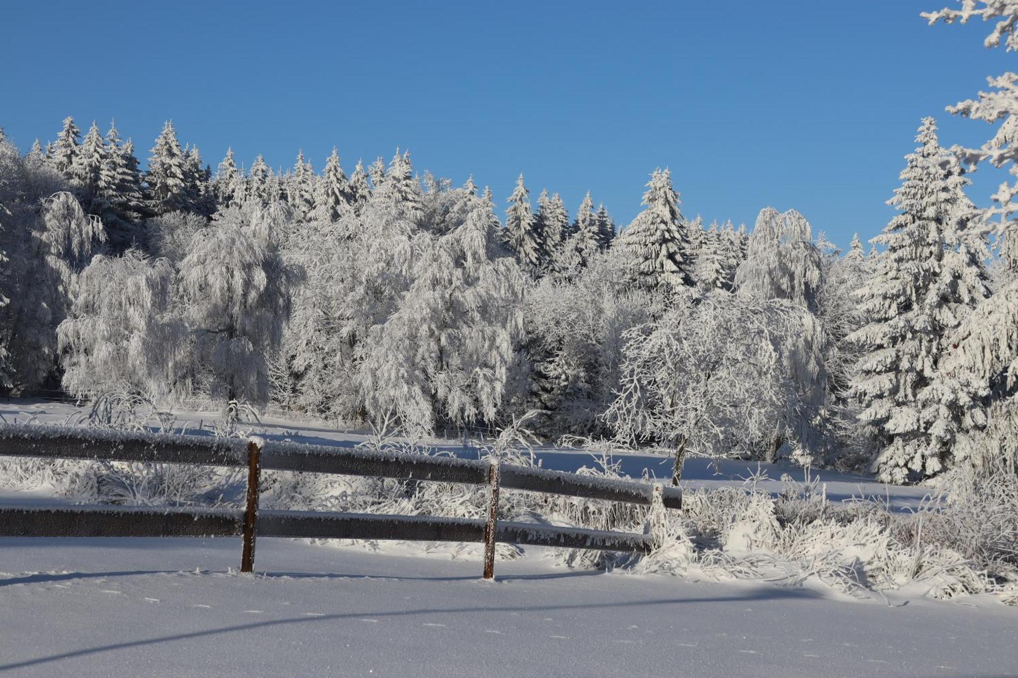 Waldgasthof Bad Einsiedel Seiffen Buitenkant foto