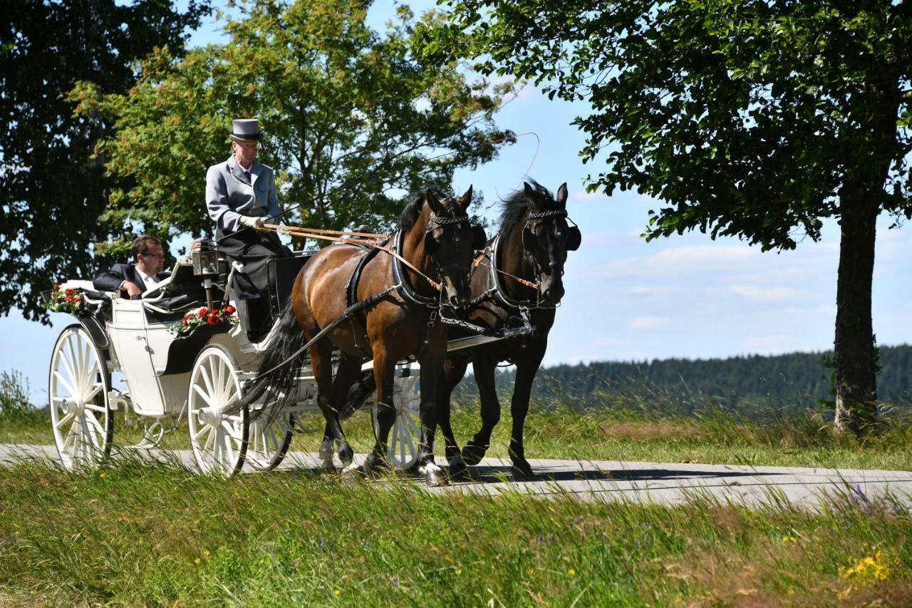 Waldgasthof Bad Einsiedel Seiffen Buitenkant foto